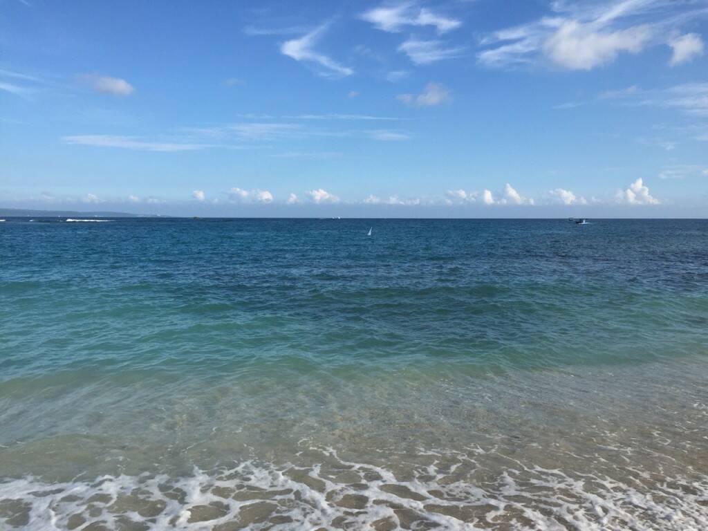 S__16580645.jpg