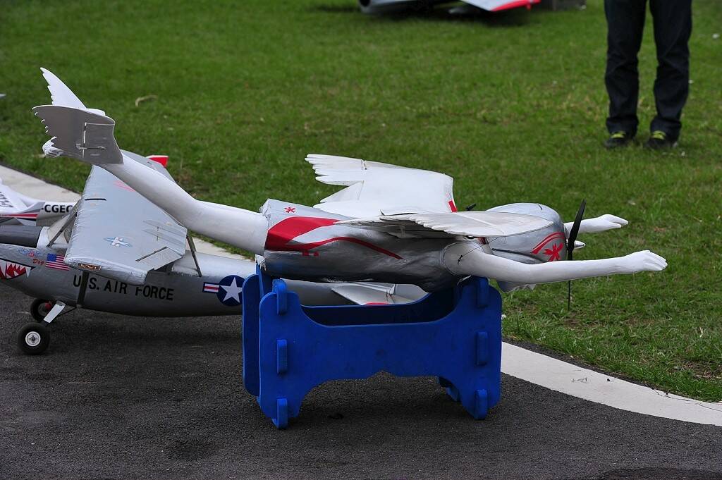 DSC_0980-1024.jpg