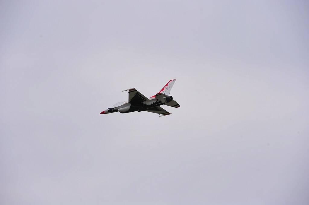 DSC_1008-1024.jpg