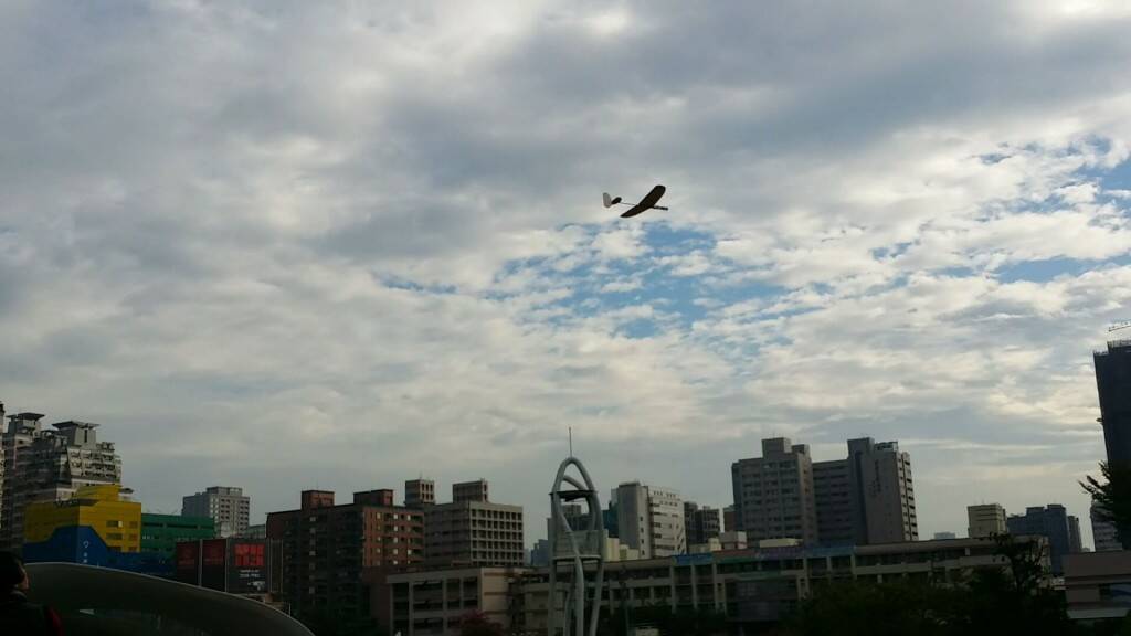 20141115_080830_162351.jpg