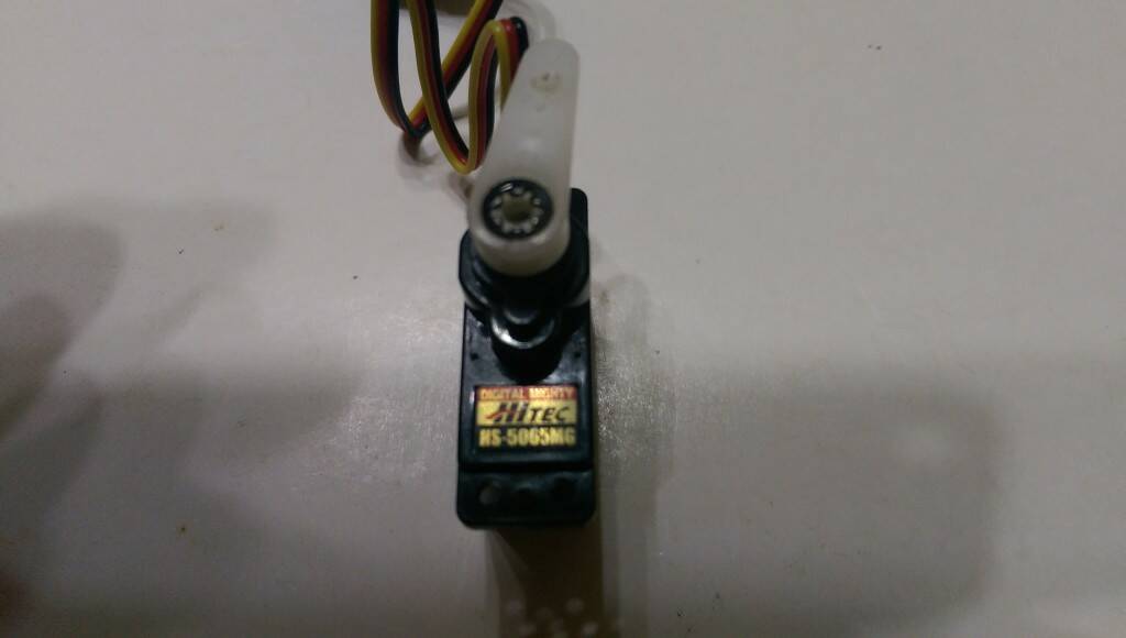 IMAG0534.jpg