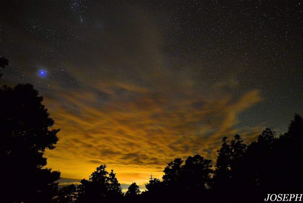 DSC_4392.JPG