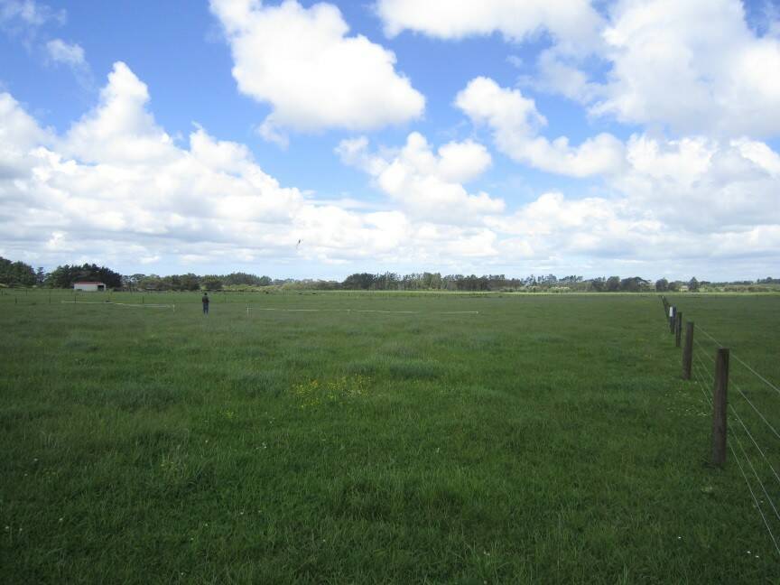 FlightLine2.jpg