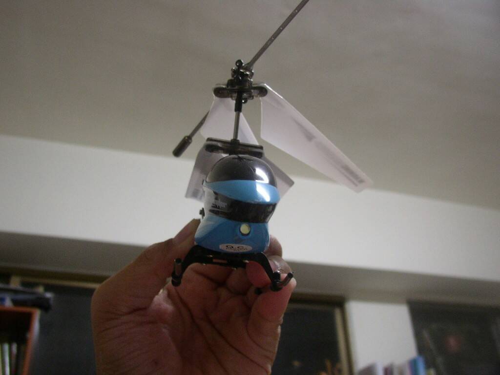 P1010059.JPG