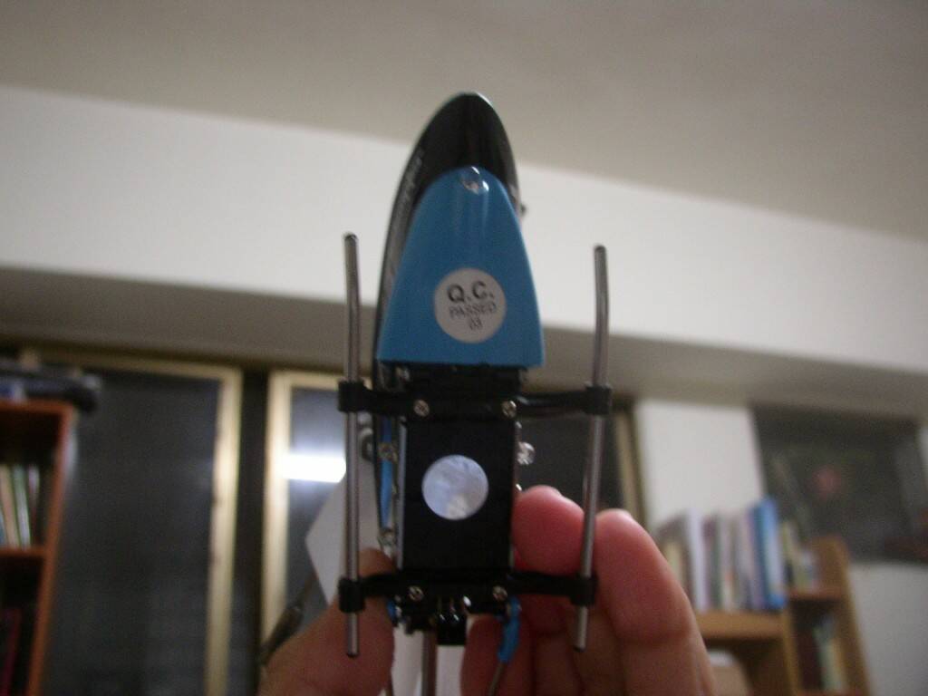 P1010060.JPG