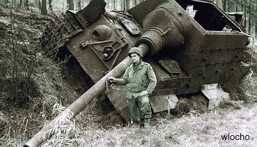 jagdtigColour.jpg