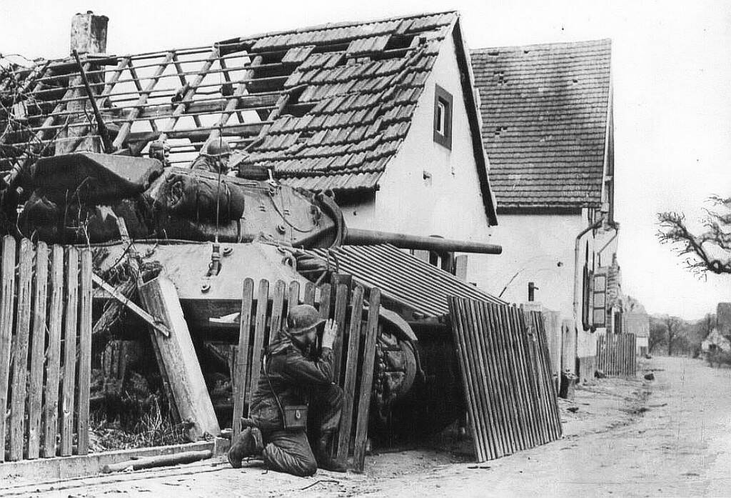 M10fence.jpg
