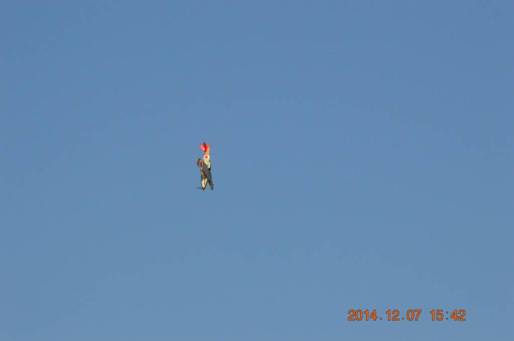 DSC_2994.JPG
