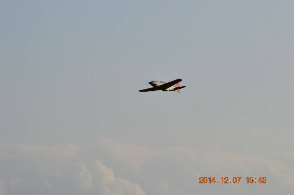 DSC_2993.JPG
