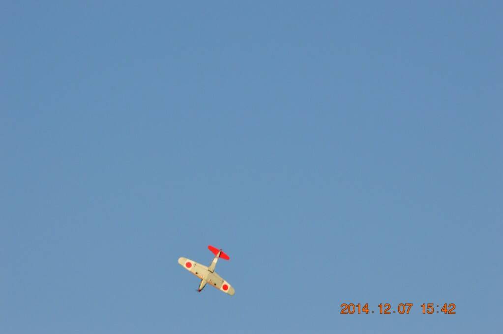 DSC_2995.JPG