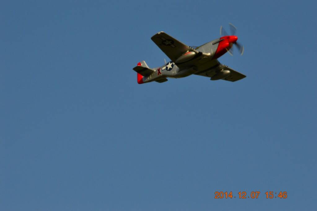 DSC_3001.JPG