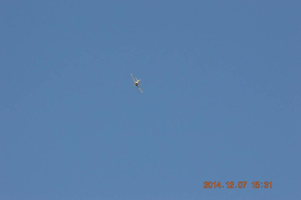 DSC_2942.JPG