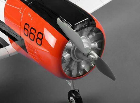 WP_20131203 5.jpg