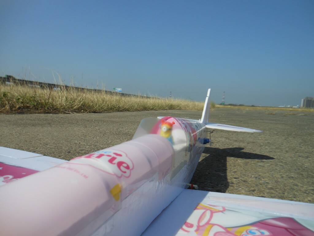 DSCN9619.JPG