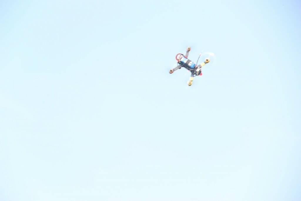 IMG_7515.jpg