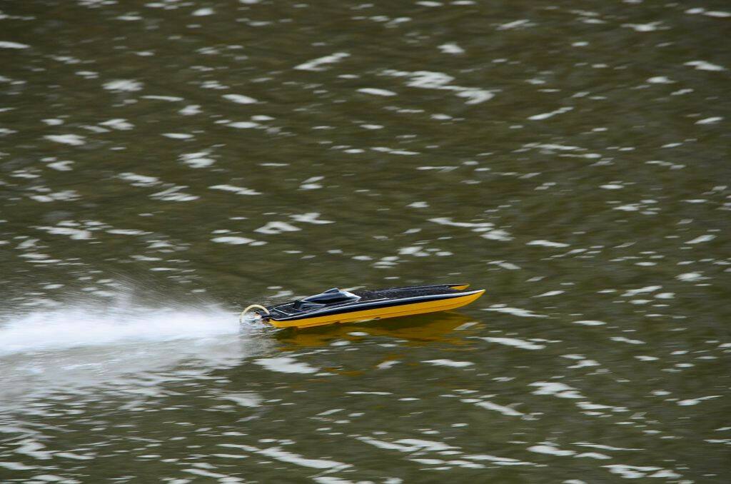 DSC_0815.jpg