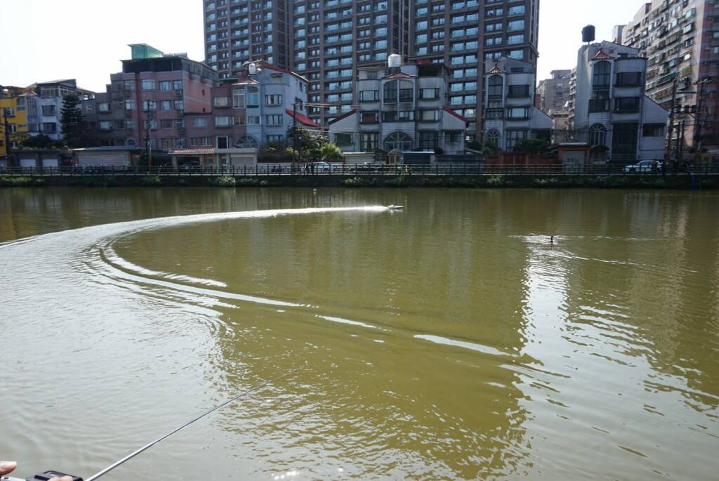 DSC00309.JPG
