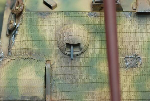 DSC_7811_調整大小.JPG