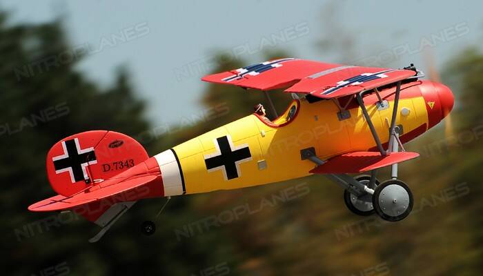 Dynam Albatros4.jpg