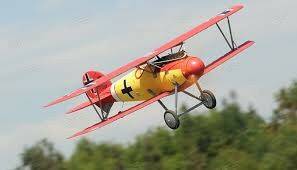 Dynam Albatros3.jpg