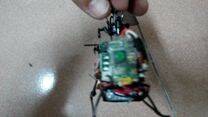 IMG_20150124_184825.jpg
