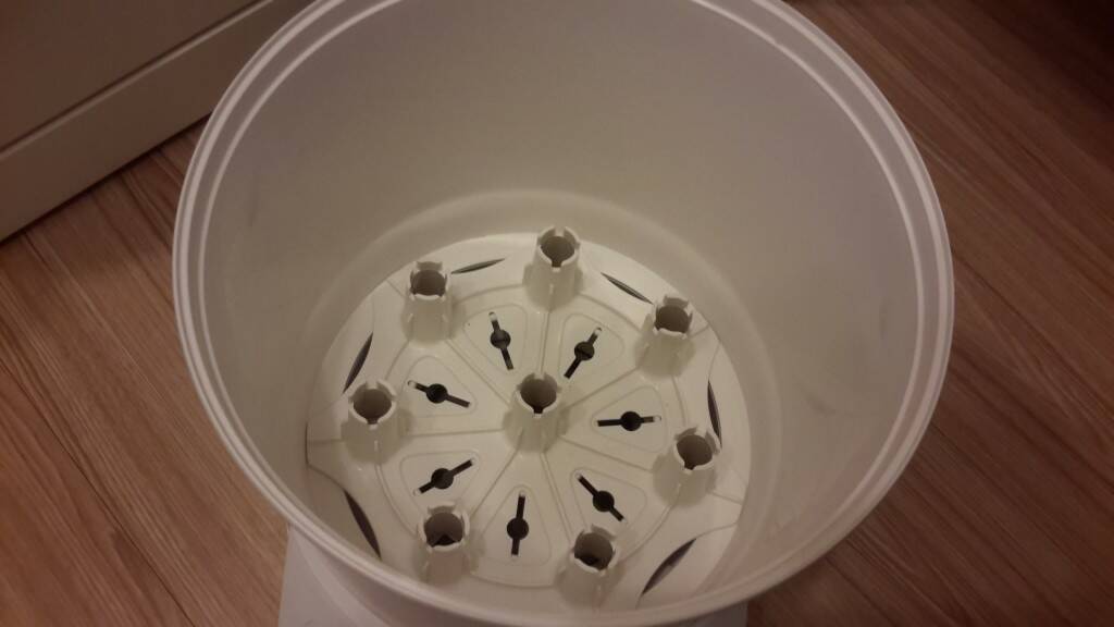 20150313_112410.jpg