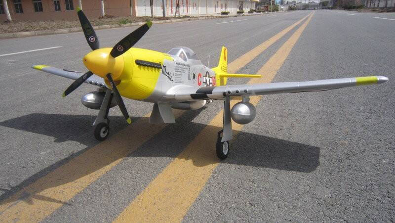 P51-1.jpg