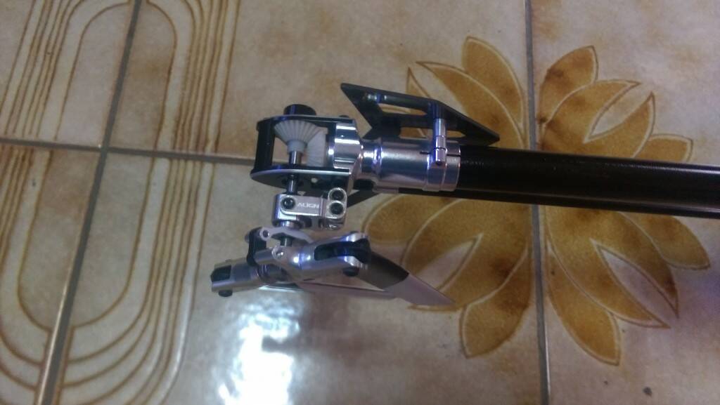 IMAG0105.jpg