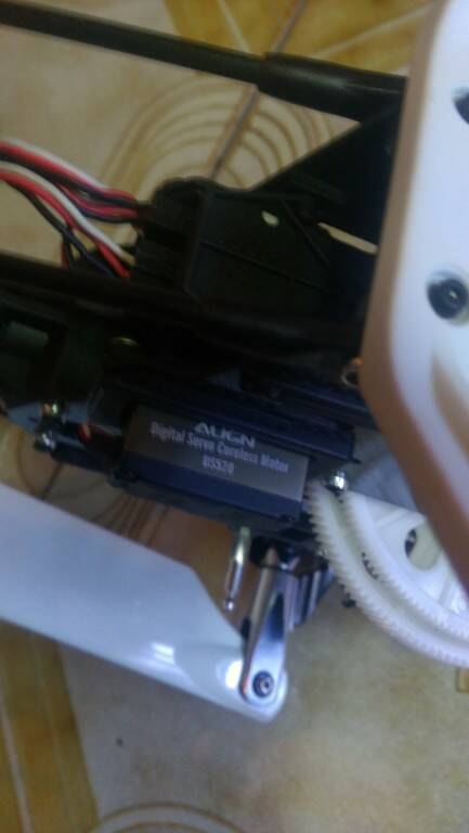 IMAG0113.jpg