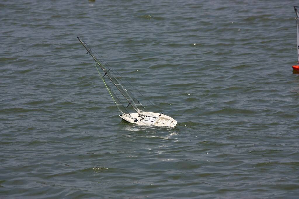 IMG_4024-1024.jpg