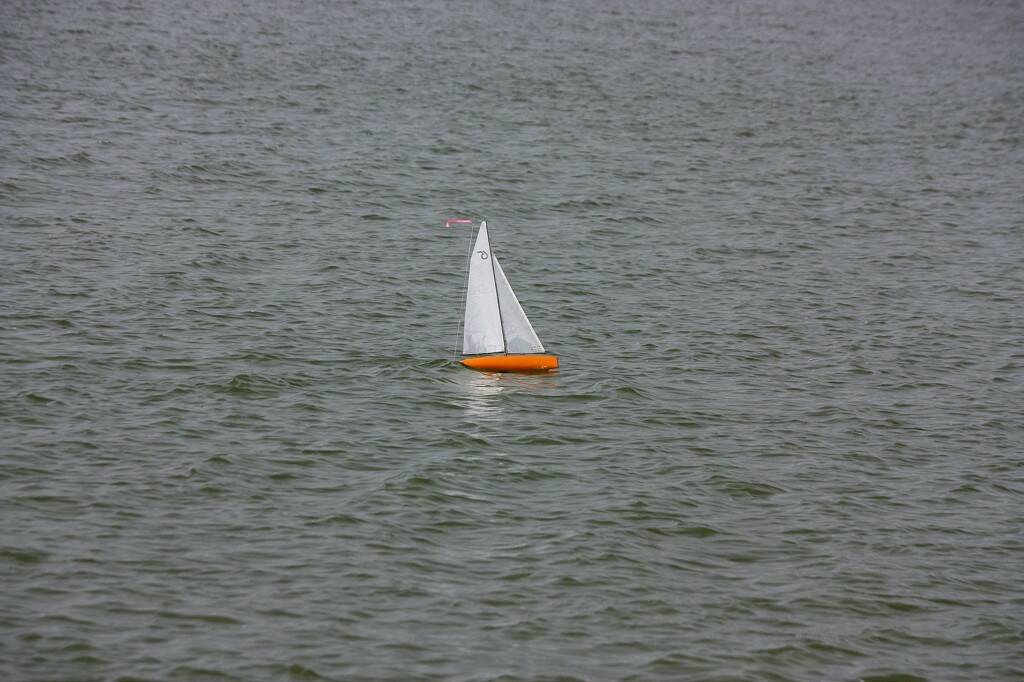 IMG_4013-1024.jpg
