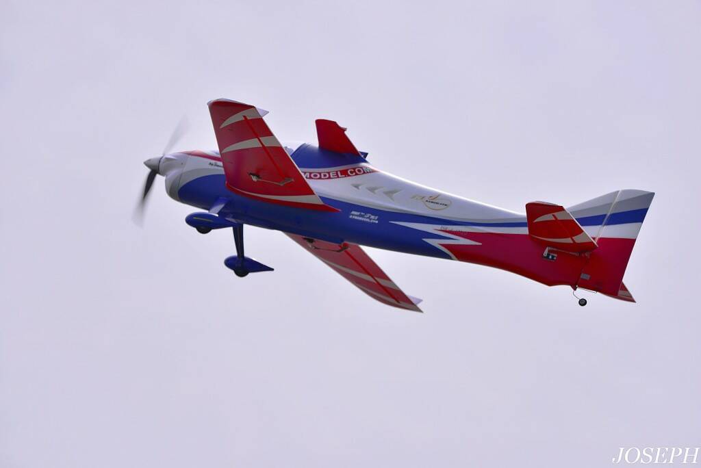 DSC_8733 (1).JPG