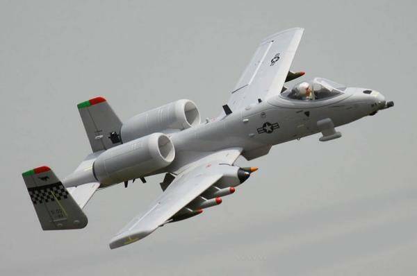FREEWING_A-10.jpg