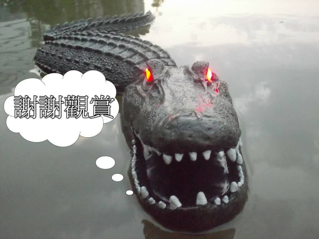 照片 013.jpg