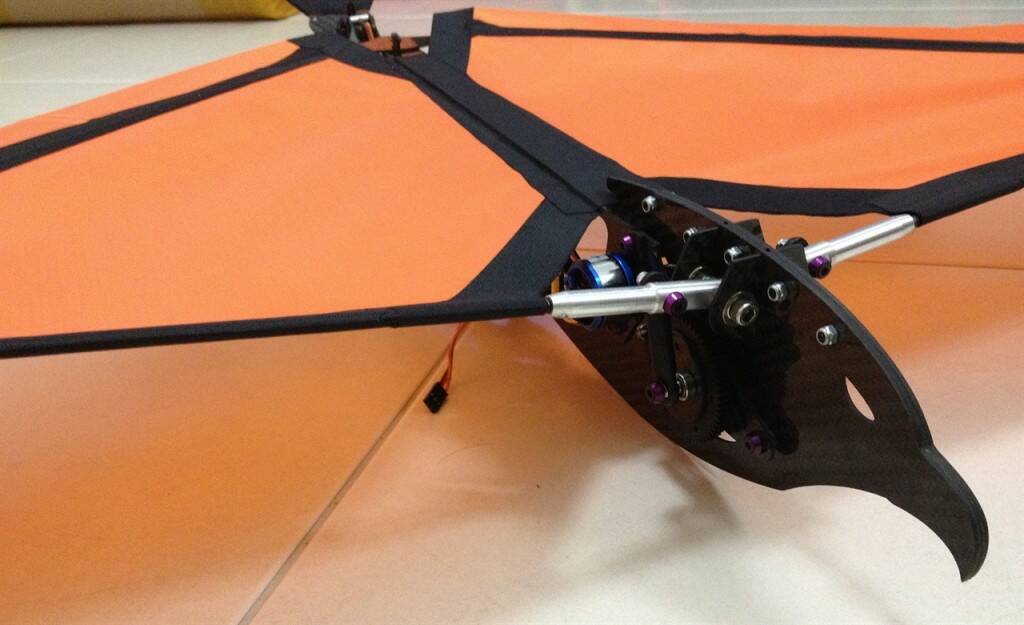 0000076_ornithopter-bird-52-wingspan.jpeg