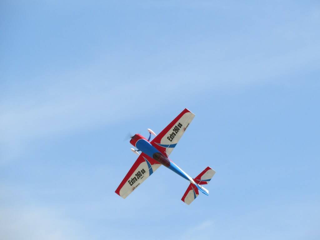 IMG_3518.JPG