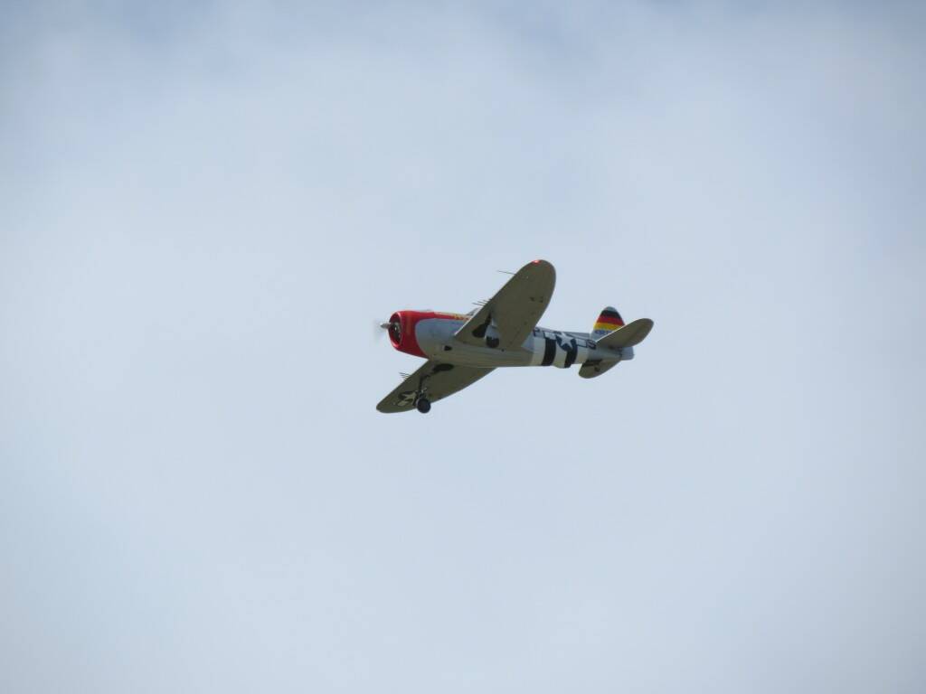 IMG_3847.JPG