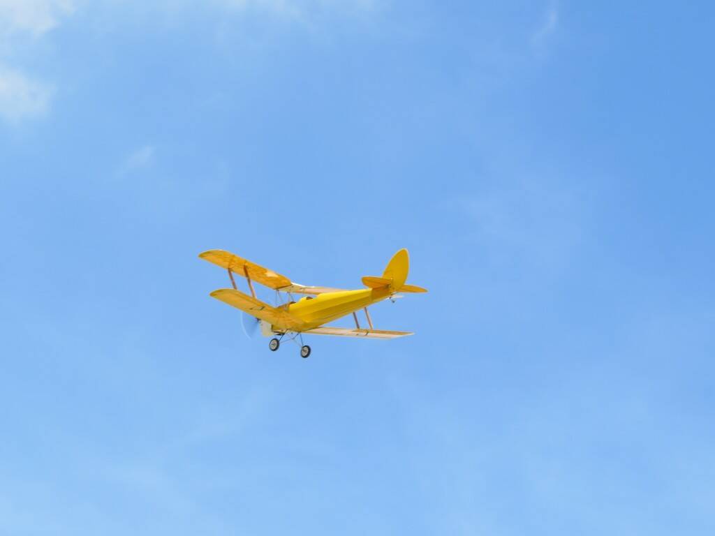 IMG_3494.JPG