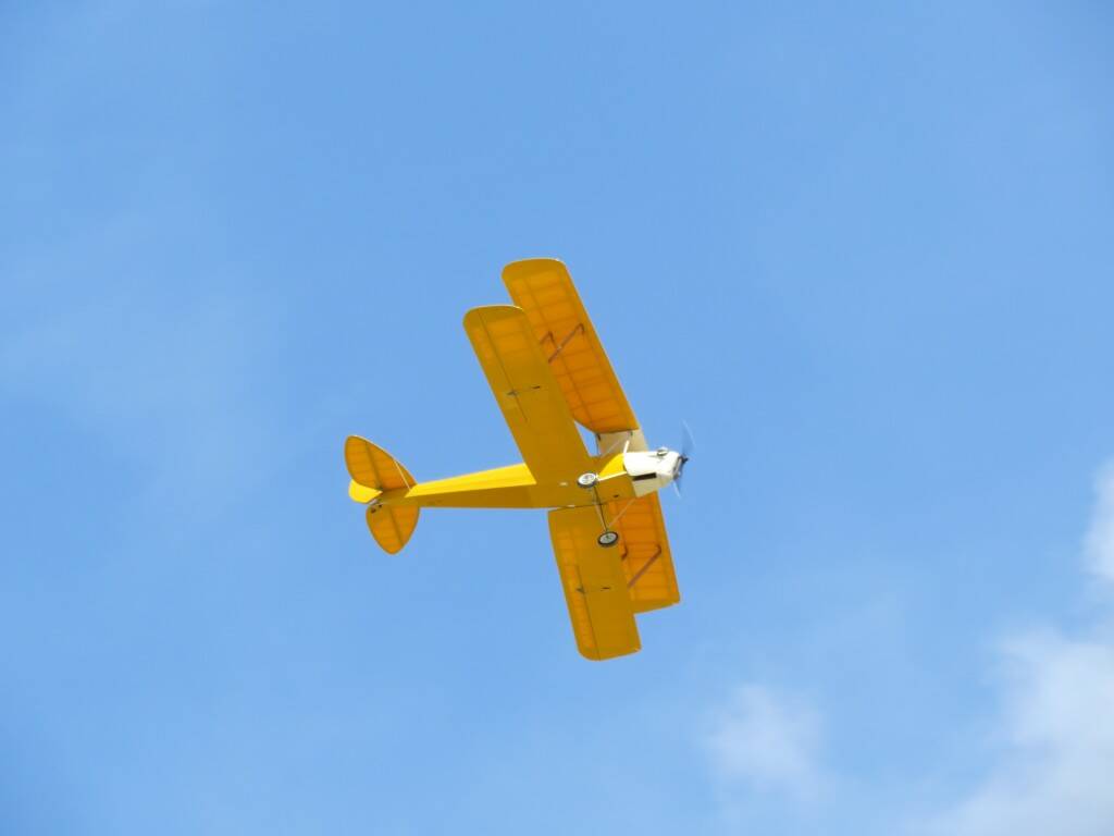 IMG_3501.JPG