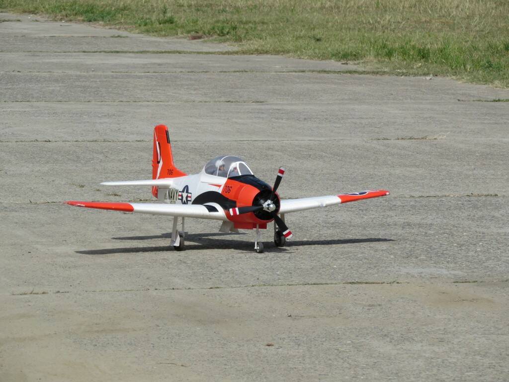 IMG_3305.JPG