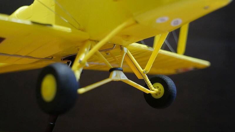 P1110468-800.jpg