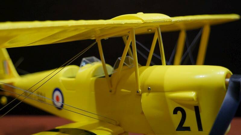 P1110470-800.jpg