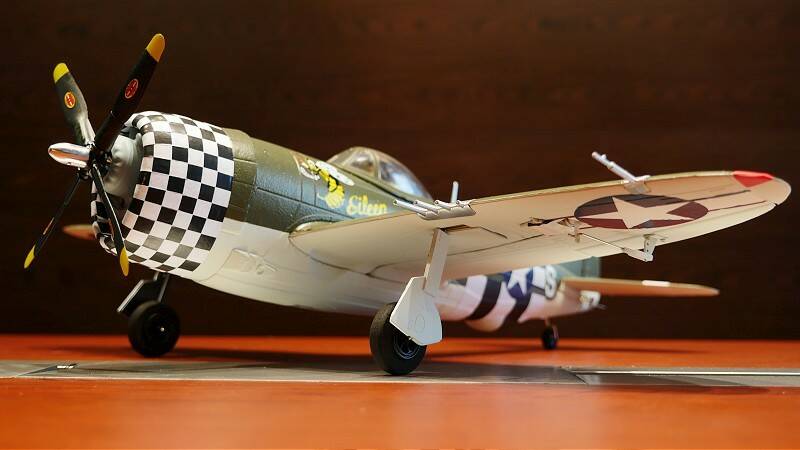 P1110425-800.jpg