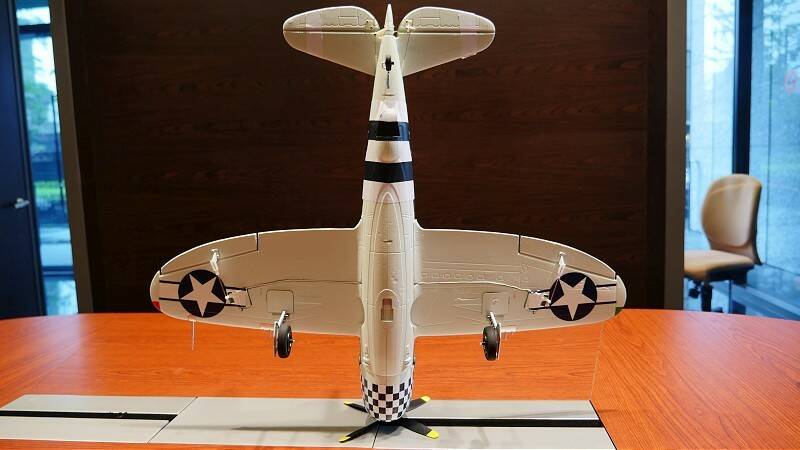 P1110431-800.jpg