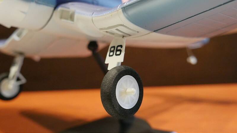 P1110504-800.jpg