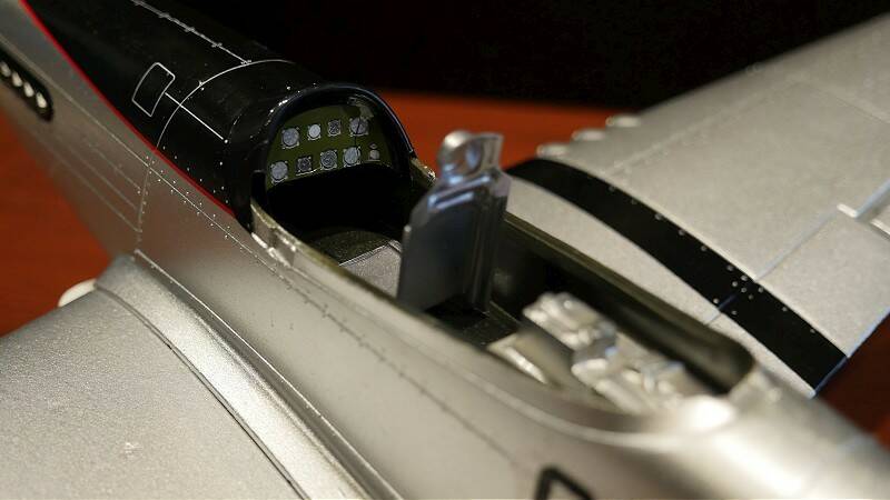 P1110540-800.jpg