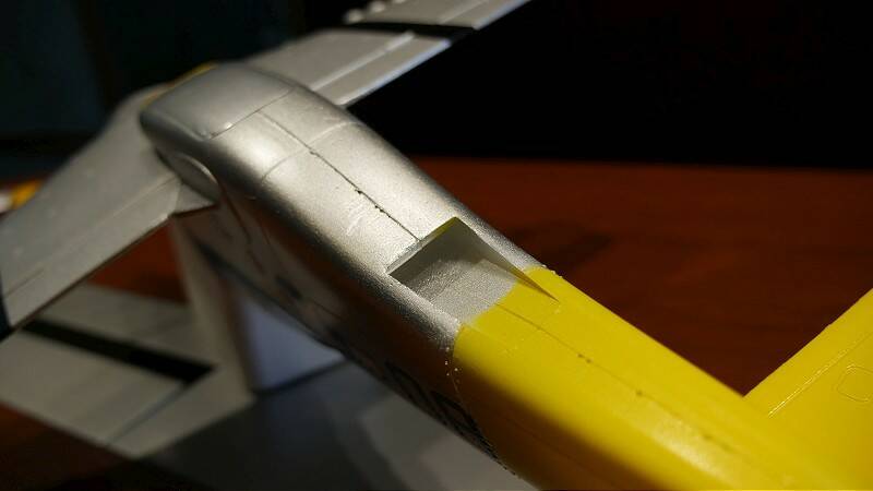 P1110542-800.jpg