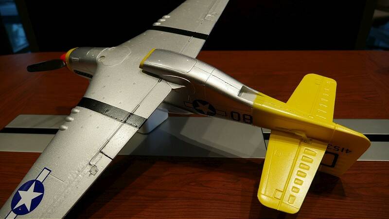 P1110541-800.jpg