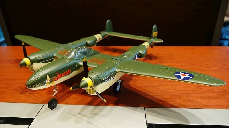 P1110447-800.jpg