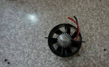 517.JPG